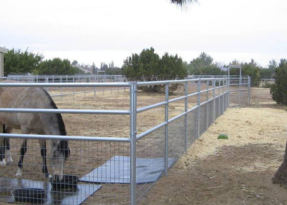 2x4 Welded Wire Horse Panels 4 Gauge 6 Gauge Welded Horse Fence